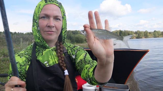 Уклейка на маховую удочку смотреть онлайн