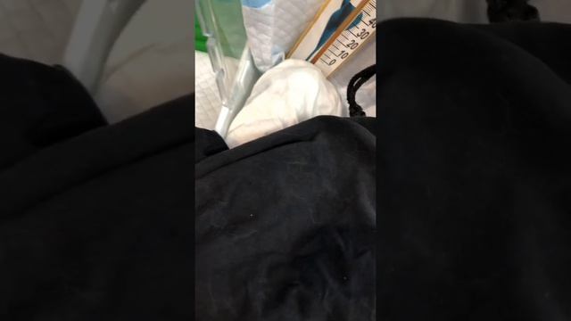 Новый питомец воробушек-желторотик Гриша!!! смотреть онлайн