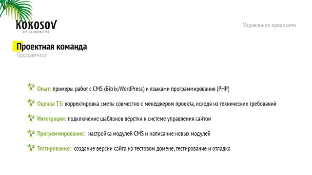 Управление проектами веб-студии. Программист смотреть онлайн