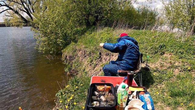 ПЛАТНАЯ? Рыбалка на реке Москве ЗА ДЕНЬГИ?. Произвол? Частная собственность. смотреть онлайн