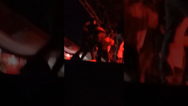 DJ mirela смотреть онлайн