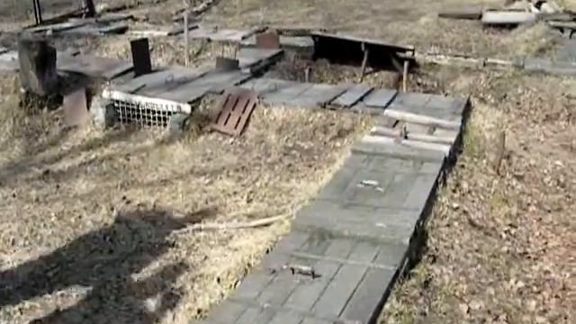 Луша в норе с лисой смотреть онлайн