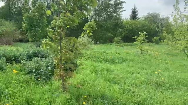 Видео Поварово 1456 смотреть онлайн