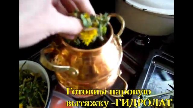 Целебная сила ОДУВАНЧИКА. Зачем готовлю паровую вытяжку - ГИДРОЛАТ смотреть онлайн