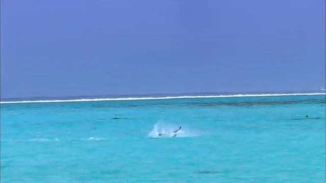 Острова Бора Бора (Bora Bora Islands)