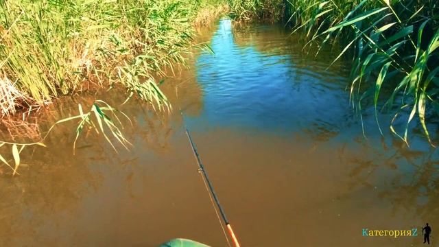 Рыбалка на спиннинг на щуку с лодки. Ловля щуки в жару! смотреть онлайн