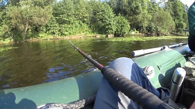 Утренняя зорька! А вот и РЫБА. Волга, август 2020) смотреть онлайн