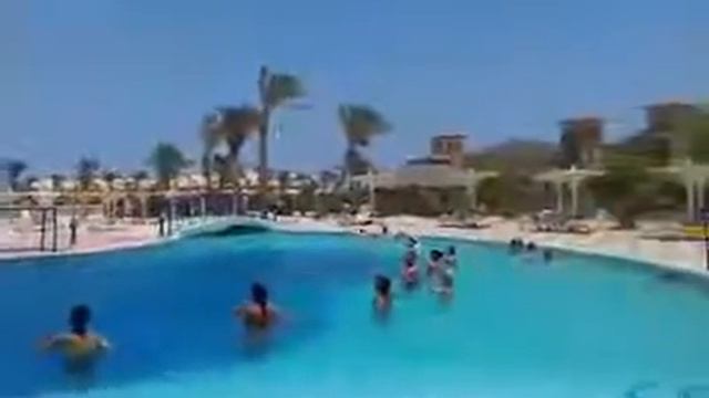 Aqua Aerobics with Mr sheko смотреть онлайн