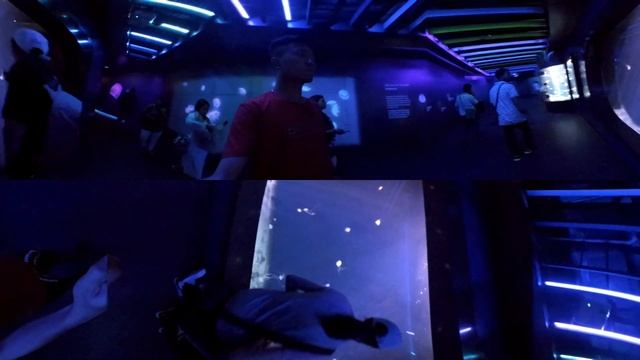 S.E.A. Aquarium SINGAPORE Complete Walkthrough 360 VR Video смотреть онлайн