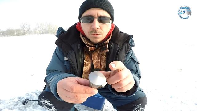 Спортивная зимняя кормушка из нержавейки подводная съемка смотреть онлайн