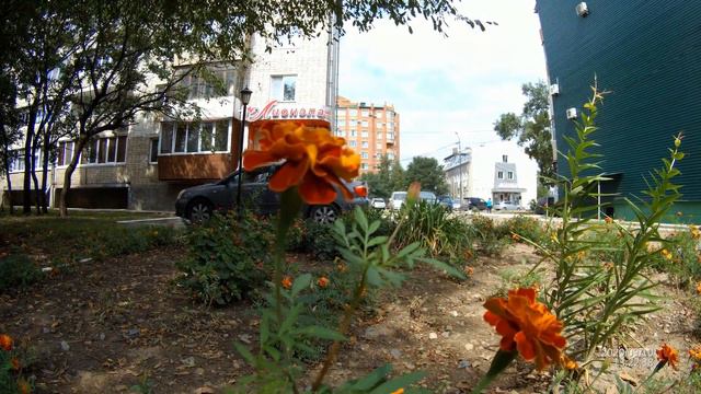 Осенний Уссурийск, сентябрь 2020 г. смотреть онлайн