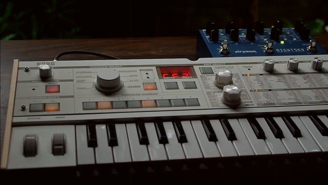 Korg microkorg s, strymon nightsky - soundscape ~ Tsuyuzora ~ смотреть онлайн