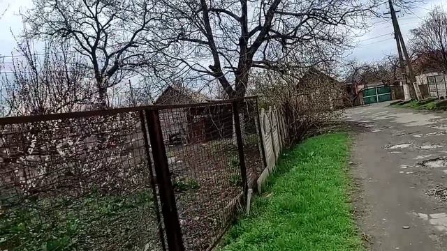 Прогулялись по рынку, попили кофе. смотреть онлайн