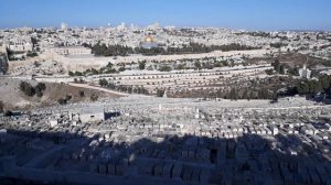 Масличная гора в Иерусалиме