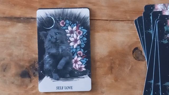 The Fated Love: 1st look at Pocket Oracle & the other decks in my collection from Athene-arcana смотреть онлайн