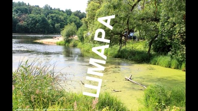 ШЛЮХА, ШМАРА смотреть онлайн
