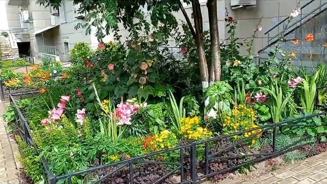 Питер метро Академическая смотреть онлайн