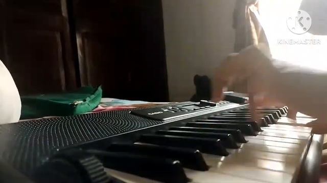 Search for your love - Three Lights Cover CTS300 смотреть онлайн