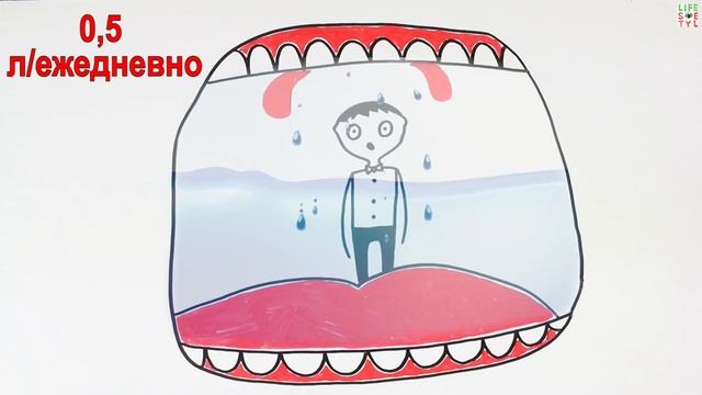 Удивительные факты о нашем теле смотреть онлайн