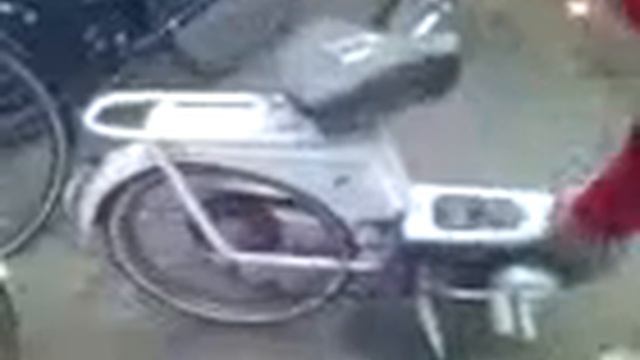 krot aan de praat смотреть онлайн