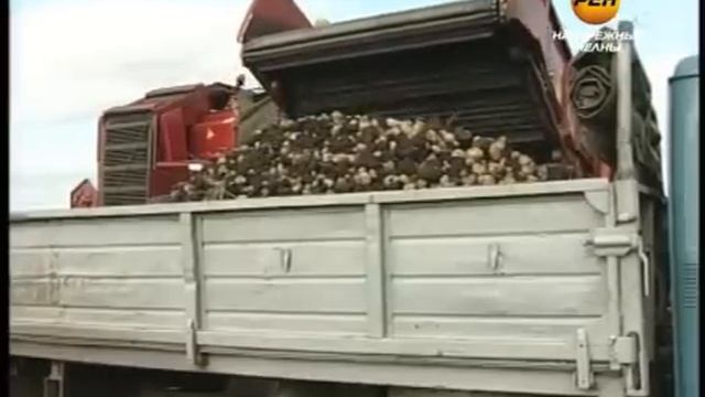 Горячая пора для аграриев смотреть онлайн