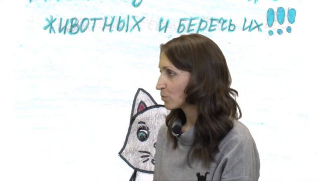 Общественные организации и проблемы существования бездомных животных смотреть онлайн