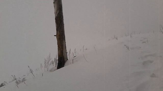 Поход на Лысую гору смотреть онлайн