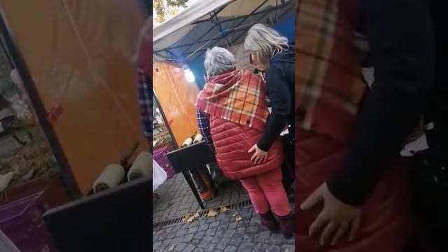 "Я научу их говорить по-украински!" Украинская туристка обхамила венгров в Закарпатье смотреть онлайн