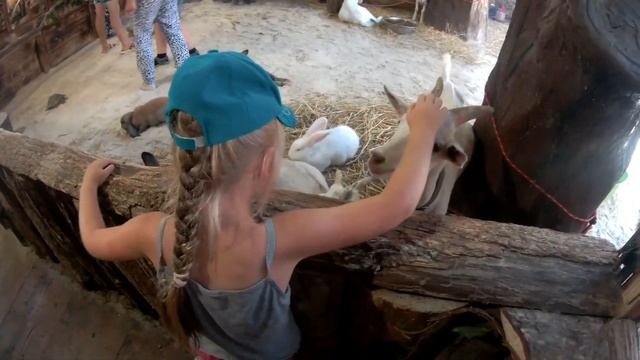 Крокодиловая ферма в Судаке (цены, обзор...)