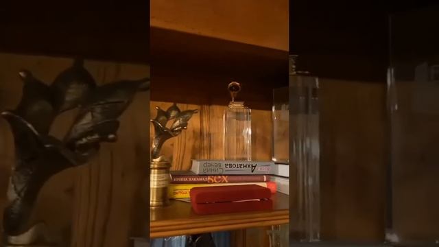 Квартира Жанны Фриске. смотреть онлайн