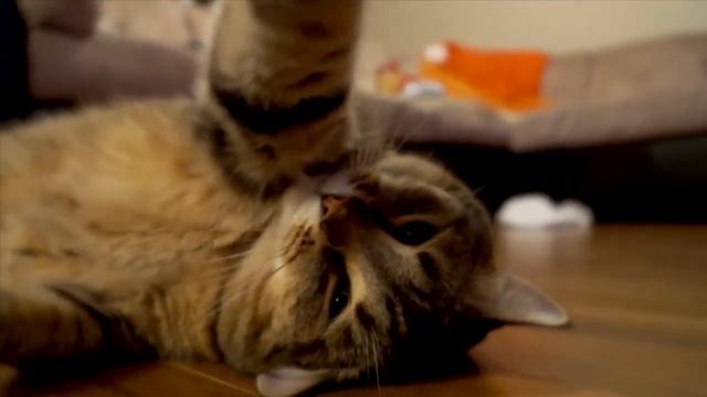 SLT a57 test смотреть онлайн