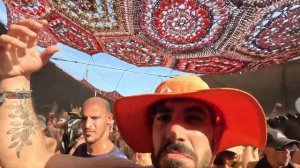 DJ Electric Samurai - Progressive Psytrance mix August 2024  (VEVAL)