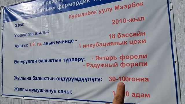 Ала-балык 2 смотреть онлайн