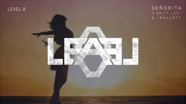 Level 8, Britt Lari & imallryt - Señoríta смотреть онлайн