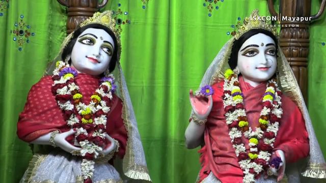 Mangal Arati Sri Dham Mayapur - February 09, 2024 смотреть онлайн