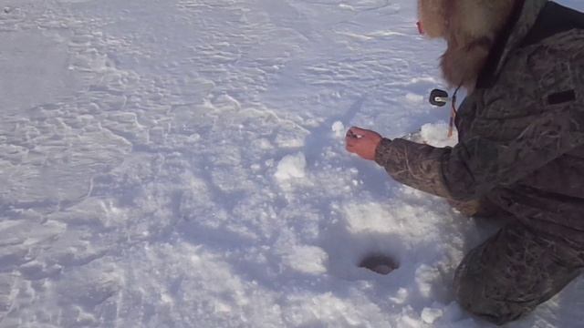 Зимняя 24.02.17. смотреть онлайн