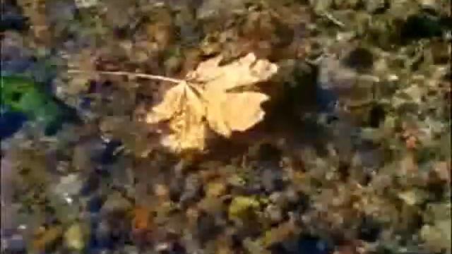 Autumn смотреть онлайн