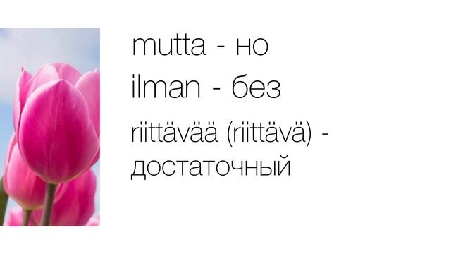 Разбор небольшого текста. Финский язык. Слушай, читай, учи новые слова. Уроки финского языка. смотреть онлайн