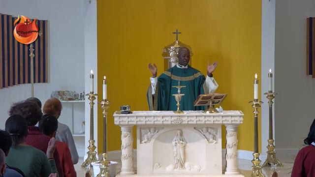 2nd Sunday of Ordinary Time смотреть онлайн