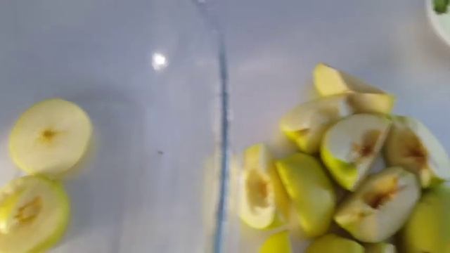 Животные в Зоопарках