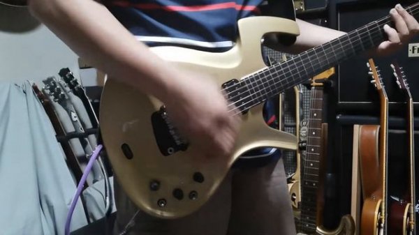 1999 Parker Fly Deluxe Gold