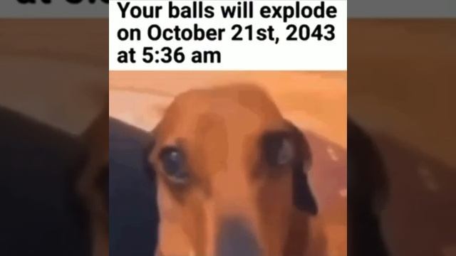 Your balls will explode on October 21st, 2043 at 5:36 am смотреть онлайн