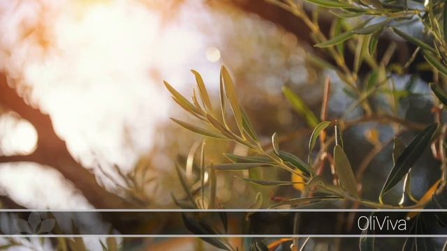 OliViva