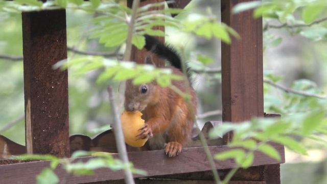 Где взять денег? Ответ найден! смотреть онлайн