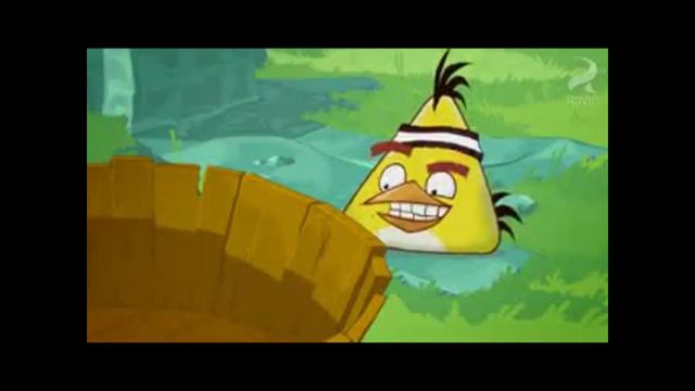 Топ самых коротких видео angry birds #73 смотреть онлайн
