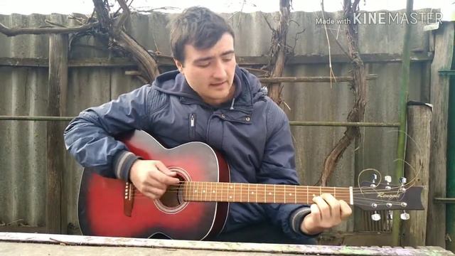 Виктор Петлюра - Плановой (cover By Darkroom) на гитаре