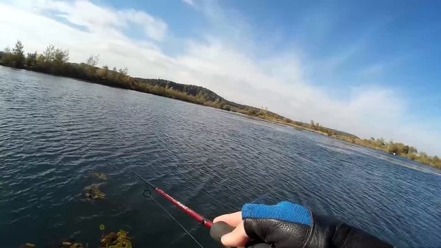 Щука на ZipBaits ридж 90F / рыбалка на щуку осенью смотреть онлайн