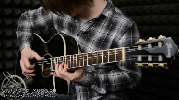 Электроакустика IBANEZ AEG10NII