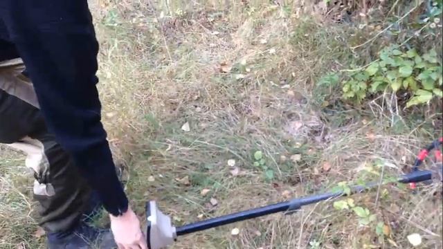 Поиск с металлоискателем. Язычиское капище. смотреть онлайн