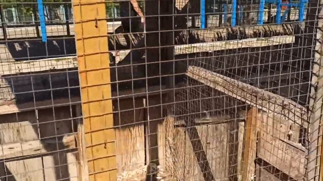 Влог: ZOO в Мариуполе. Сходили в зоопарк=) смотреть онлайн